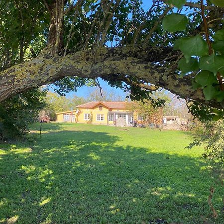 Ferienhaus Primorska Sunshine In Strandnaehe シャブラ エクステリア 写真
