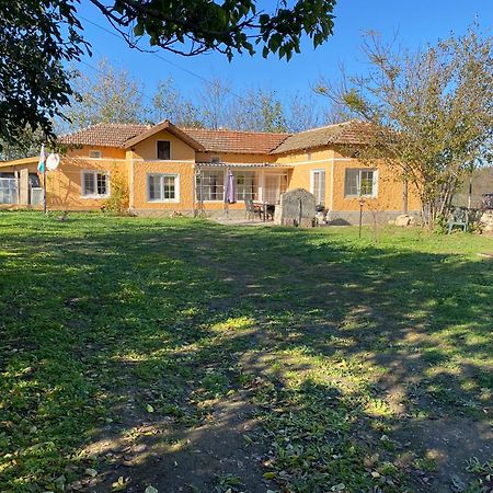 Ferienhaus Primorska Sunshine In Strandnaehe シャブラ エクステリア 写真
